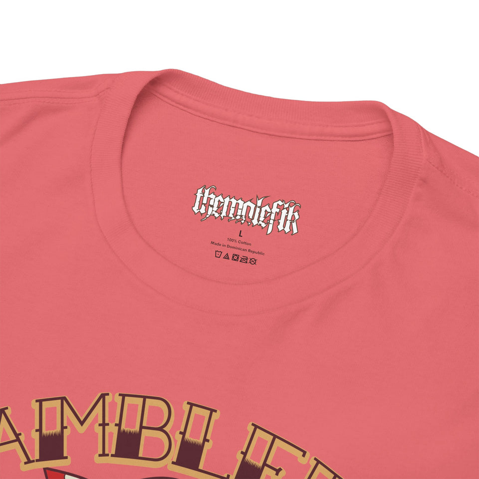 Vintage-Inspired Unisex Cotton Tee - "Best Wishes from St. Louis"